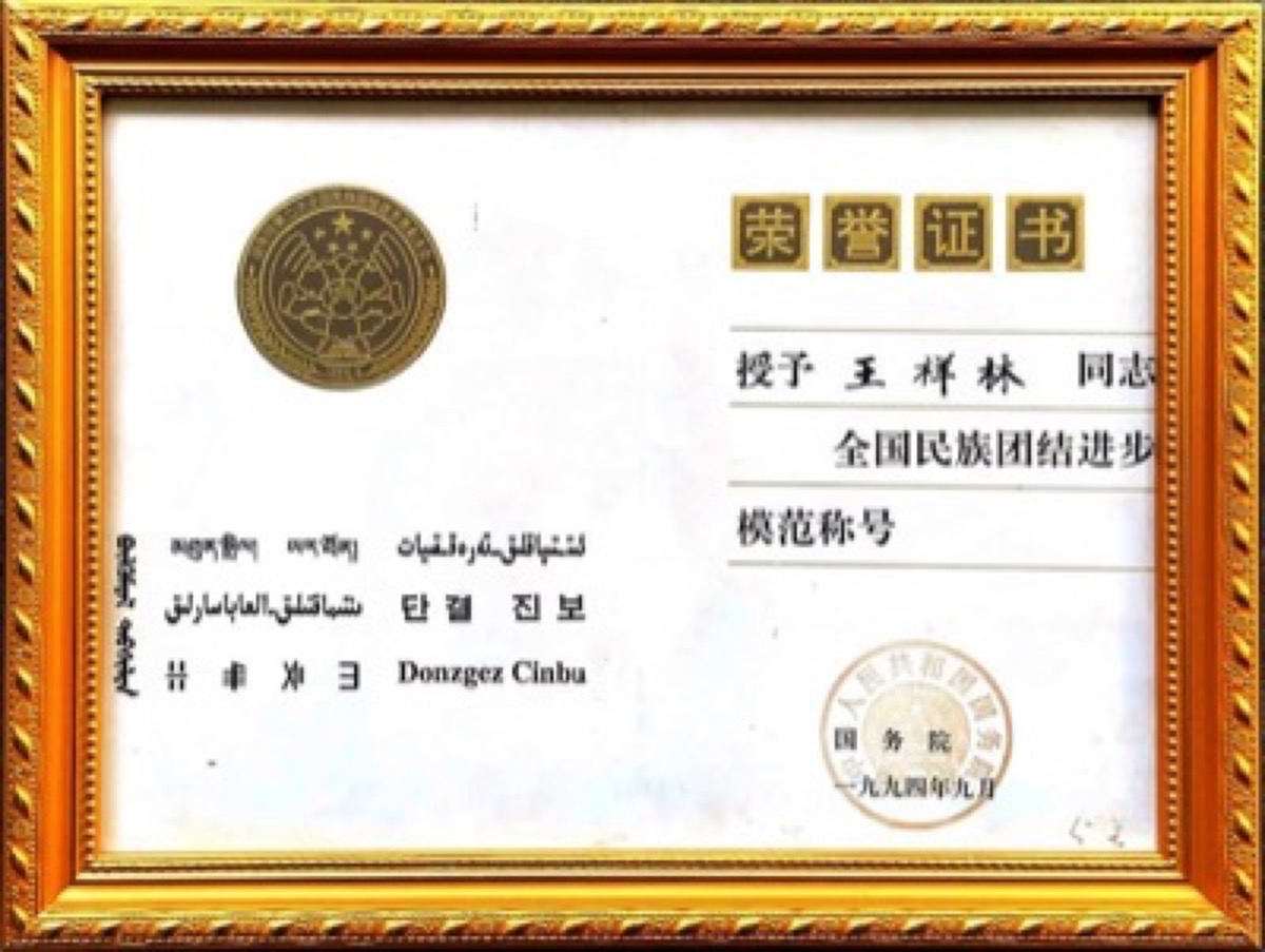 1994全国民族团结步模范称号