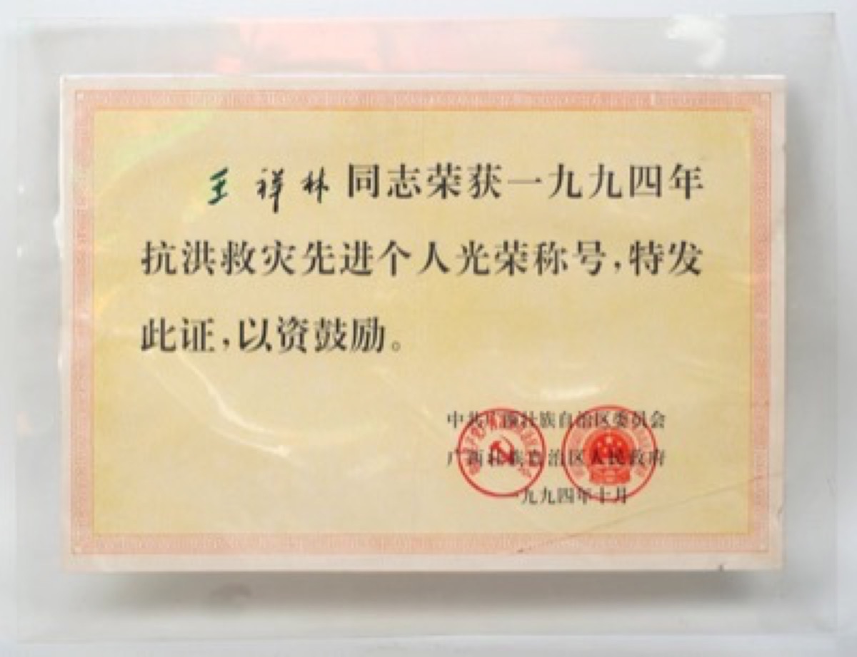 1994年抗洪救灾先进个人称号