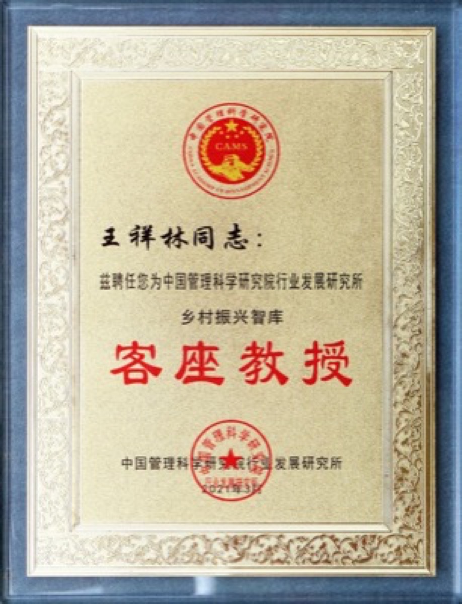 2021中国管理科学研究院行业发展研究所王祥林客座教授