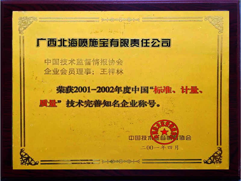 1995-2002年发展历程图片2