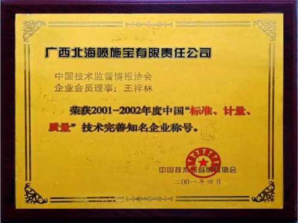 1995-2002年发展历程图片2