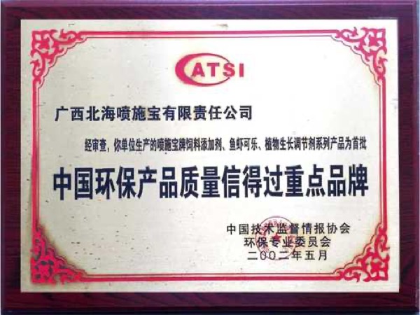 1995-2002年发展历程图片3