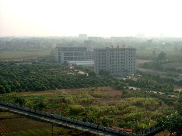 1995-2002年发展历程图片4