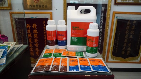 2010-2023年发展历程图片5