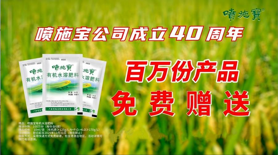 2023-至今发展历程图片1