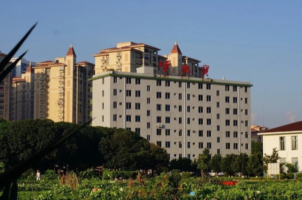 2023-至今发展历程图片4