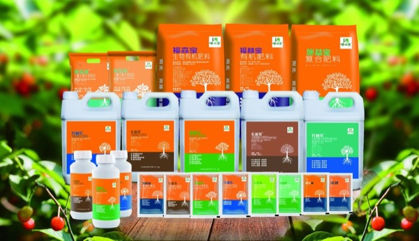 2023-至今发展历程图片5